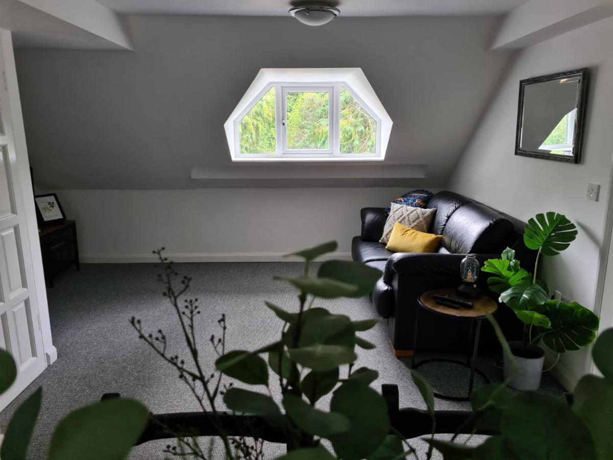 Отель Park House Self-Contained Annex Молд Экстерьер фото